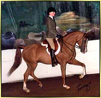 Click to Enlarge photo